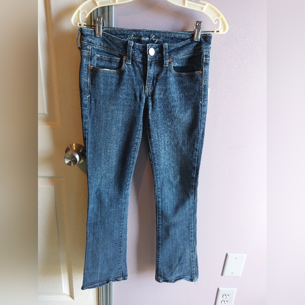 American Eagle Size 2 Short Skinny Kick